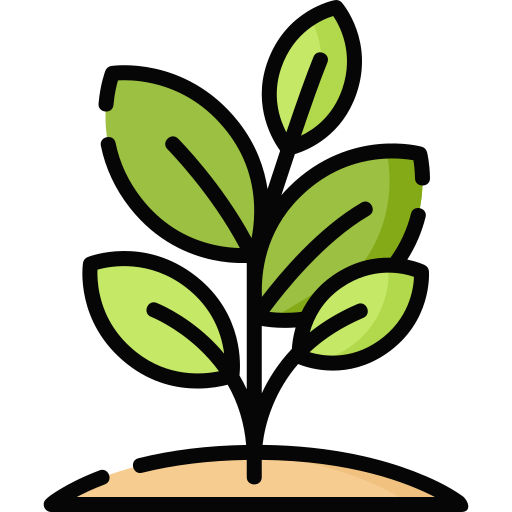 Organic Multivitamin