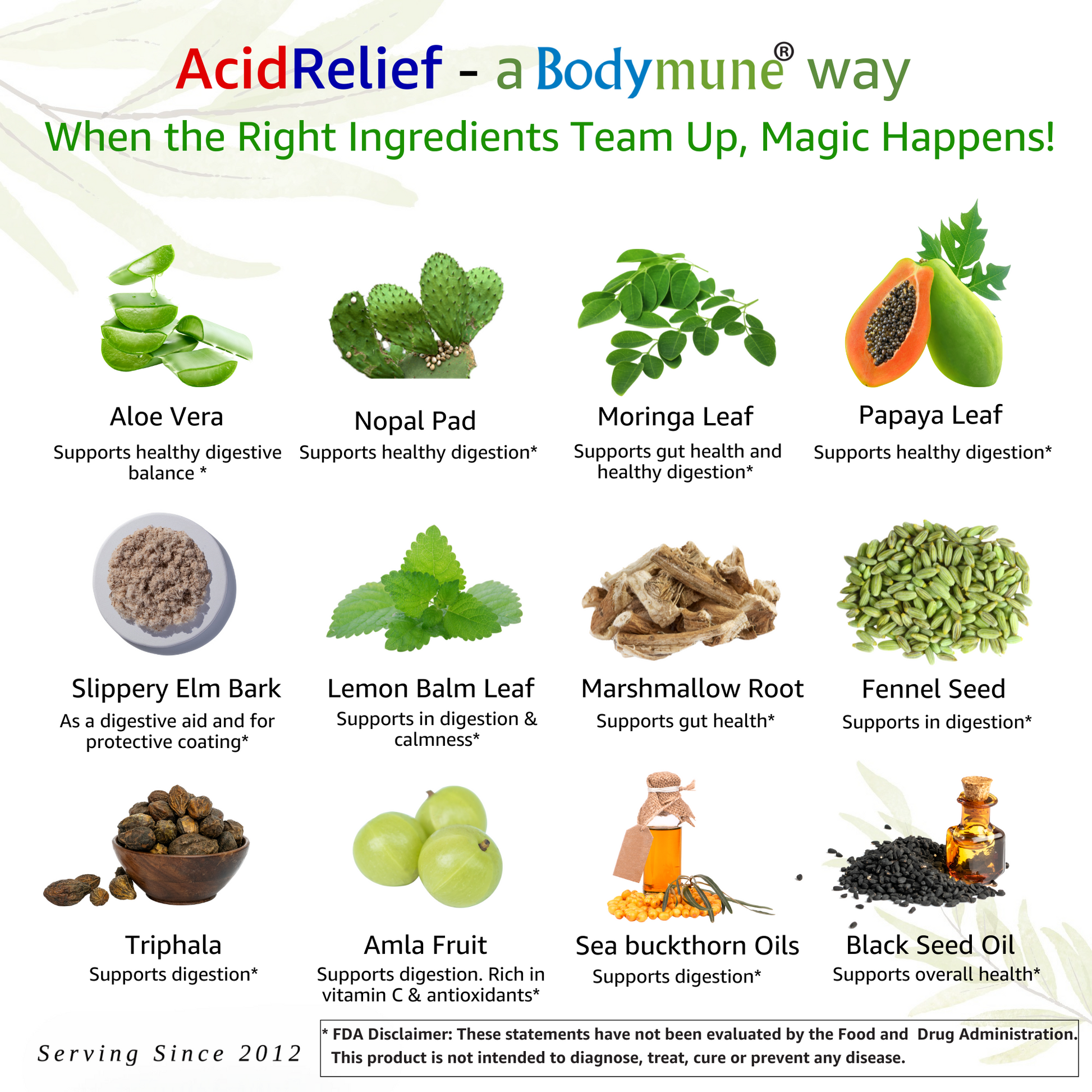 Bodymune AcidRelief | Natural Organic Gut Health Support