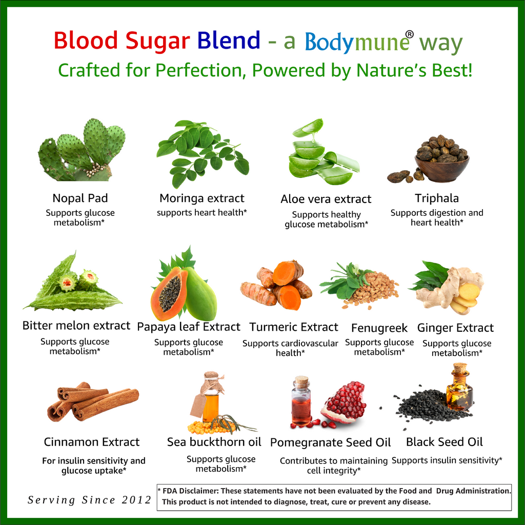 Bodymune Blood Sugar Blend | Organic Blood Glucose Supplement