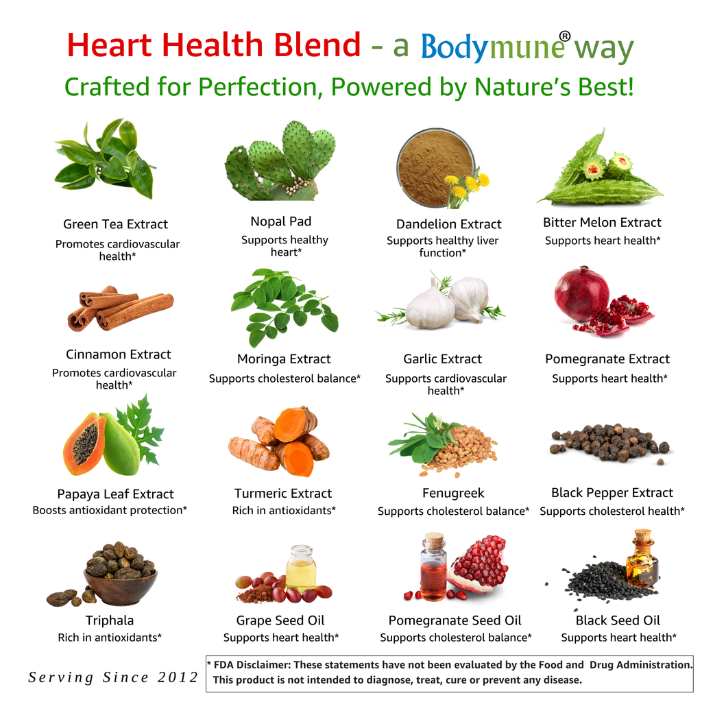 Bodymune Heart Health Blend | Herbal Support for Cholesterol