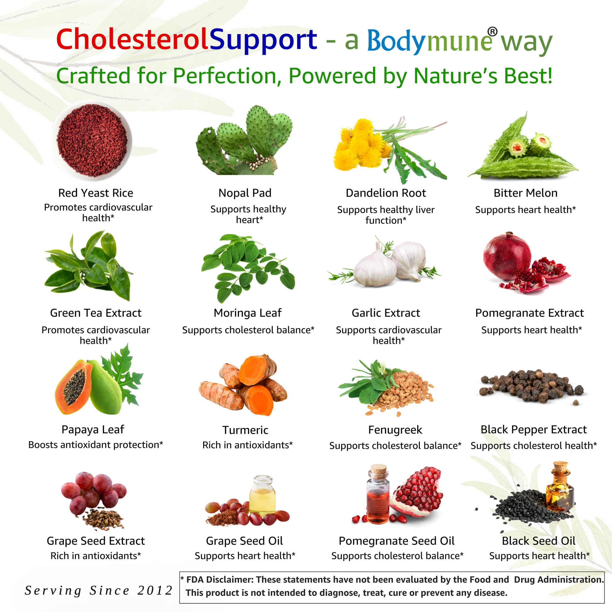 Bodymune CholesterolSupport | Herbal Remedy for Cholesterol
