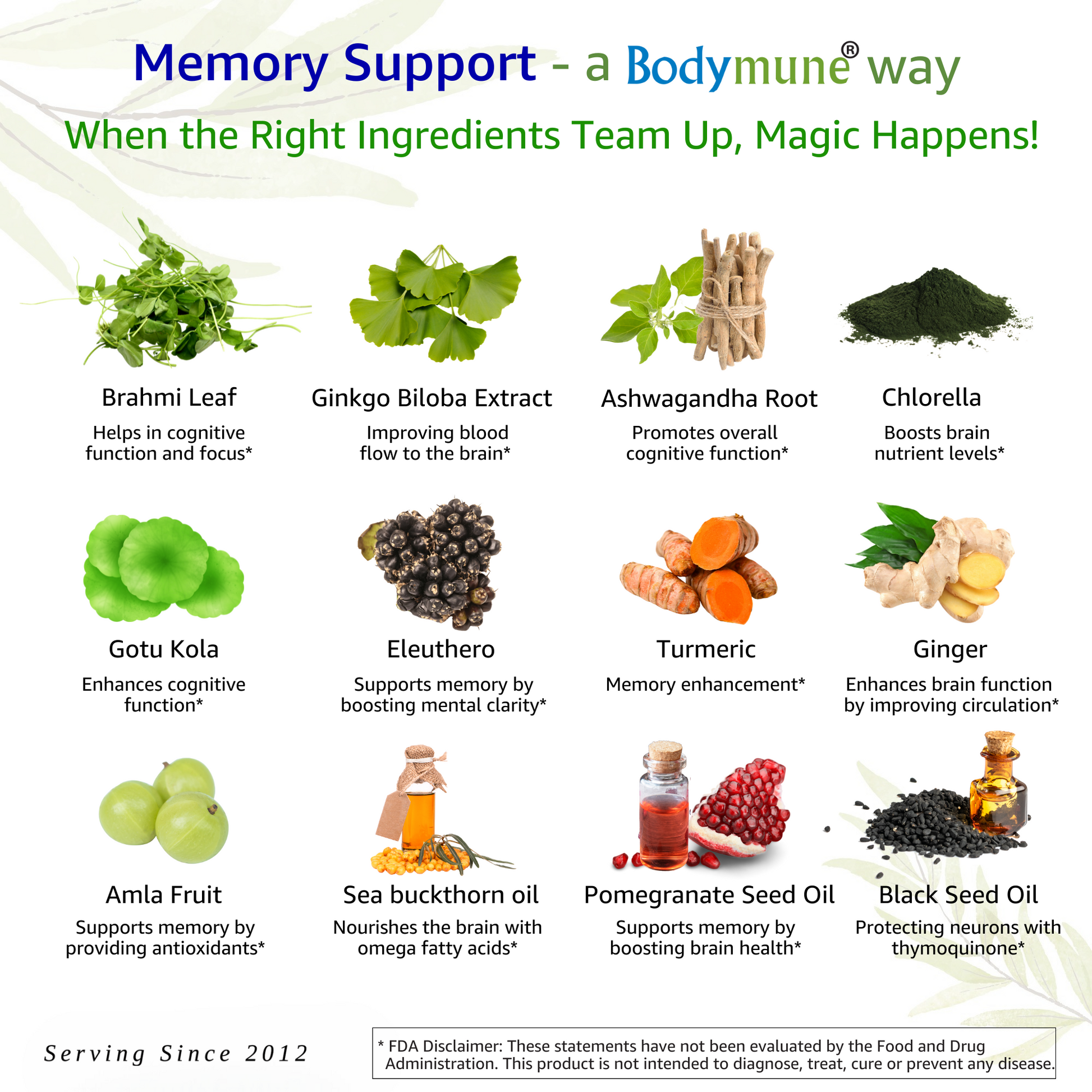 Bodymune Memory Support | Organic Memory Supplement