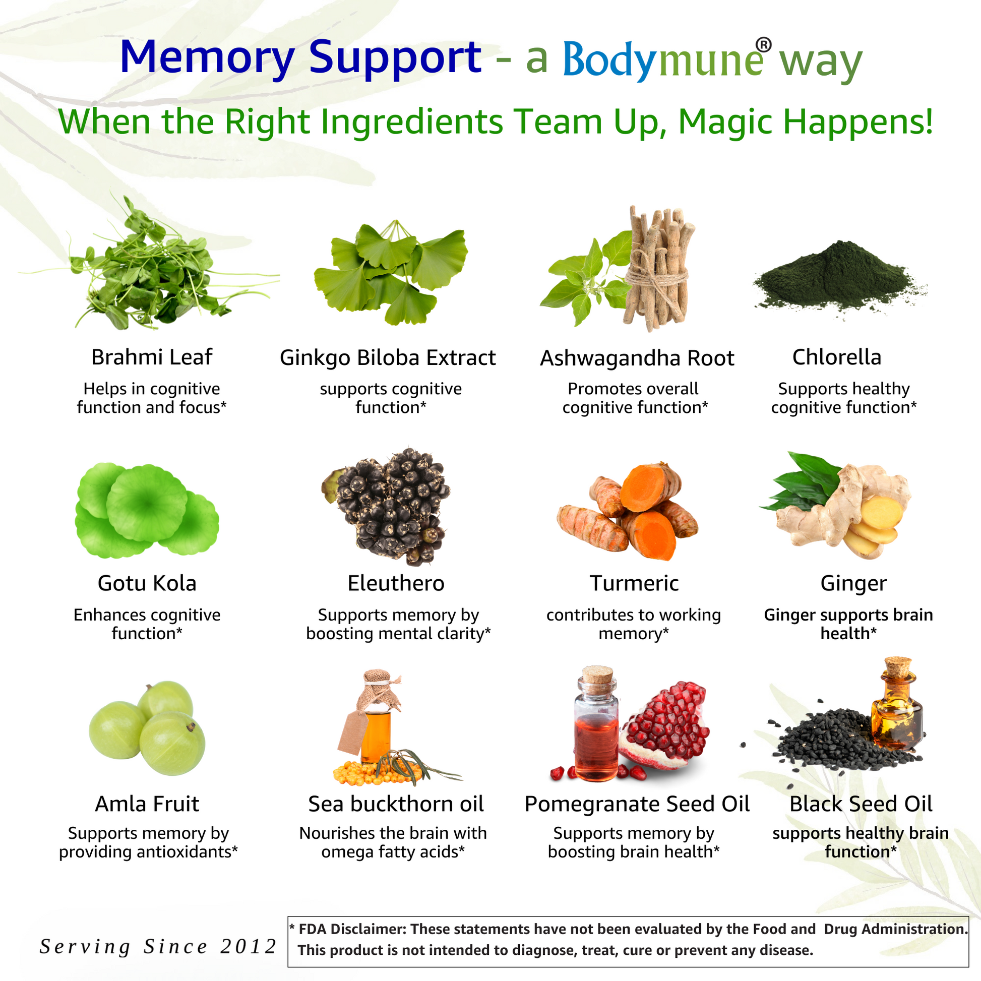 Bodymune Memory Support | Organic Memory Supplement