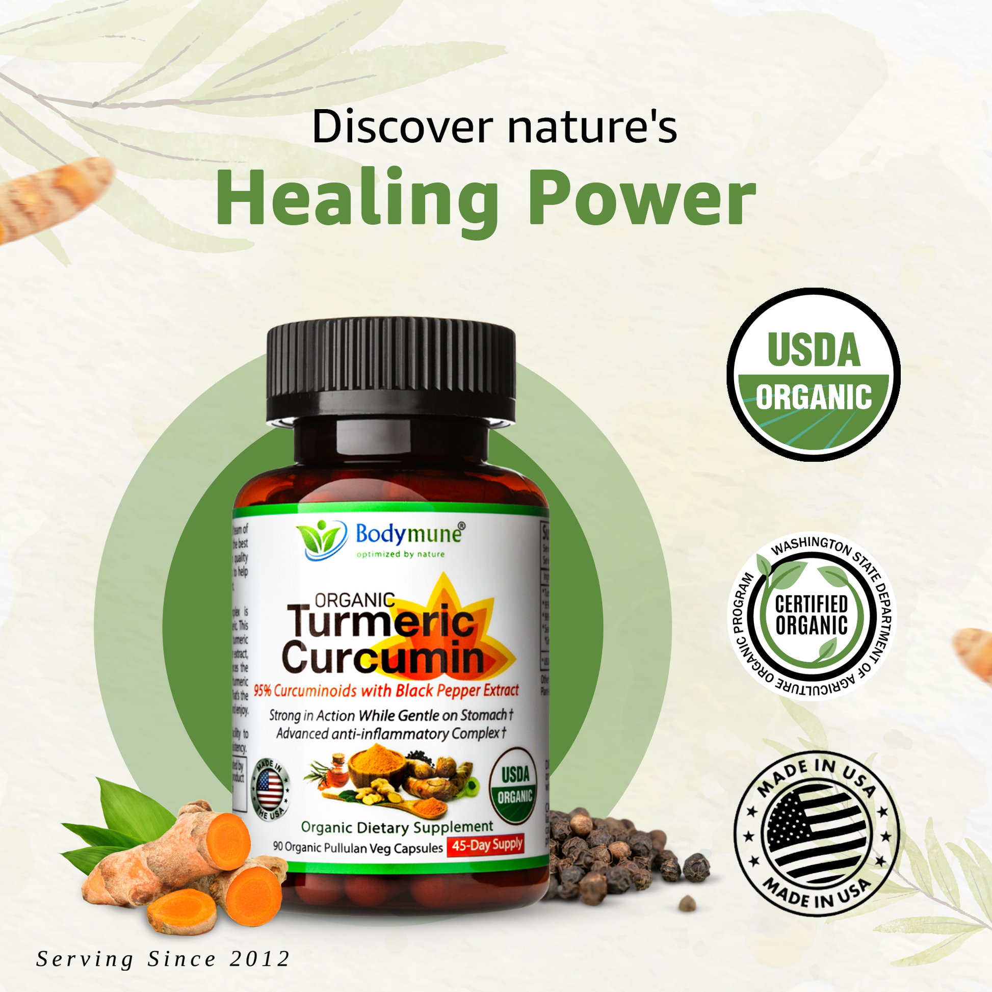 Organic Turmeric Curcumin Supplement | Turmeric Powder Capsules