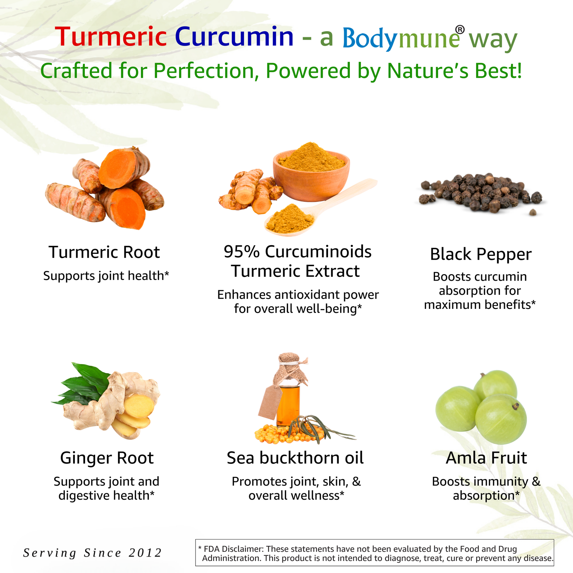 Organic Turmeric Curcumin Supplement | Turmeric Powder Capsules